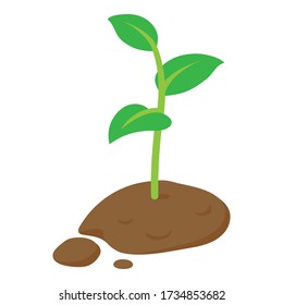 Garden plant icon. Isometric of garden plant vector icon for web design isolated on white background
