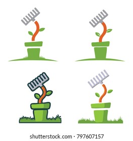 garden plant in pot