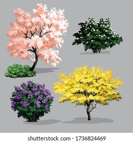 Garden plants, vector illustration set for your design.