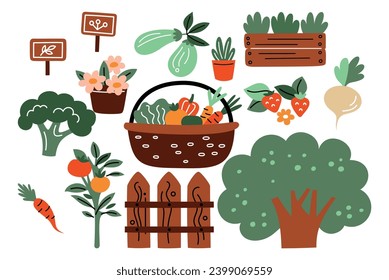 Garden plants. Vegetable gardening. Food growing. Basket with carrots and tomatoes. Wooden fence. Seedlings in pot. Agriculture cultivation. Broccoli and strawberry