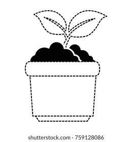 garden pot with plant