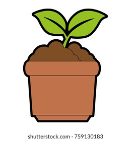 garden pot with plant