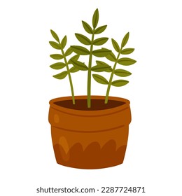Garden pot plant. Home gardening activity, decoration potted houseplant vector illustration