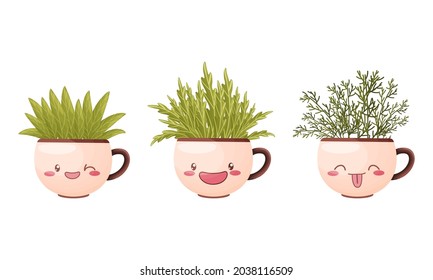 Garden potted herbs in ceramic pots in shape of cups with smiling faces vector illustration