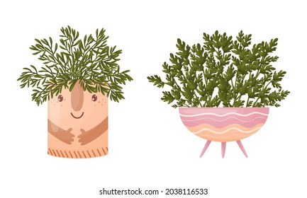 Jardín de hierbas en macetas de cerámica de diferentes formas set ilustración vectorial