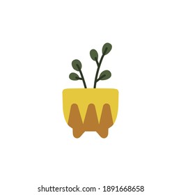 Garden potted plants. Home decor with green leaves. Hand drawn flat vector illustration.