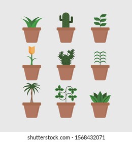 garden potted plants on white background