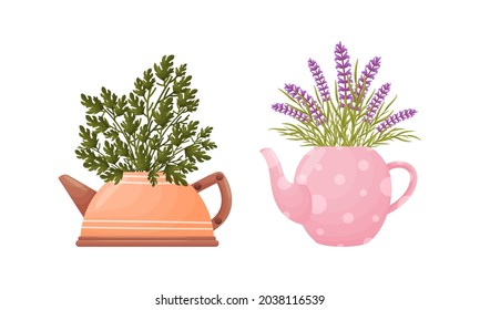 Plantas machacadas en macetas de diferentes formas. Grano de flores de cerámica en forma de ilustración vectorial de teteras