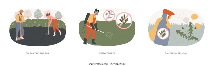 Conjunto de ilustraciones vectoriales de concepto aislado de protección de jardines. Cultivar el suelo, el control de las malezas y plagas, la eliminación de los dientes de león, el herbicida y el pesticida, las semillas de hierba, el concepto de vectores de césped sin algas.