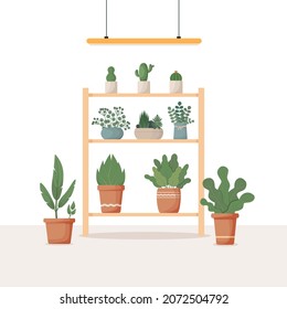 Garden rack with potted flowers. Flower rack, greenhouse interior, Home garden, succulents, flowers, potted plants. For posters, banners, and postcards. Cartoon vector illustration 