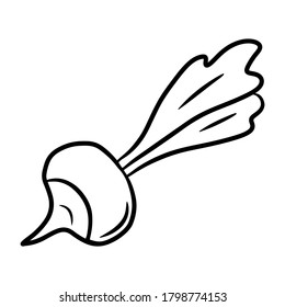 Radieschen. Handgezeichnete Vektorgrafik im Doodle-Stil, einzeln auf weißem Hintergrund.