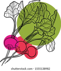 Garden radish line art vector illustration isolated on white. Vegetarian and vegan food picture. Minimalist radish image for menus, grocery stores, organic food posters, vegetable shopping lists.