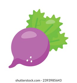 Garden radish vector design isolated on white background