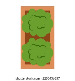 Garden rectangular pot with bushes, furniture for outdoor plan. Vector illustration of patio and yard landscape element isolated on white. Architecture, design concept