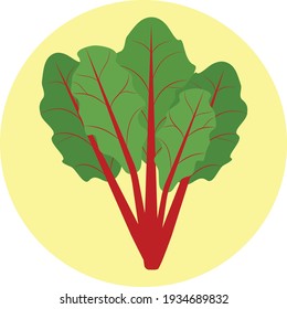 Garden Rhubarb Vector Illustration Isolated On Yellow Circle Background In Vegetable Concept.