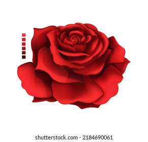 Garden rose hand drawing and mesh colored. Ruby red with shadows gradient. A blossoming rosebud. Single vector design element illustration.