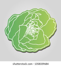 Garden rose hand drawn illustration. Flower drawing vector. Blooming detailed peony flower. White silhouette on green background. Stock line vector illustration botanic flower. Outline drawing.