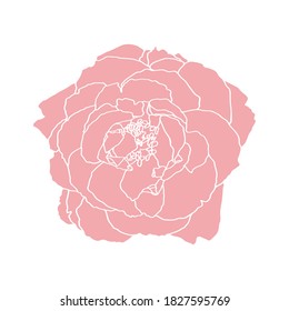 Garden rose hand drawn vector. Line-art on white background. Template greeting card, wedding invitation banner.