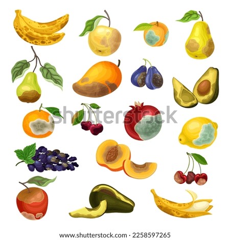 Similar – Image, Stock Photo Moldy lemon Lemon