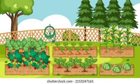 88 Vagetables Background Stock Vectors, Images & Vector Art | Shutterstock