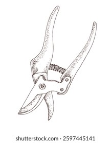 Garden scissors hand drawn vector illustration