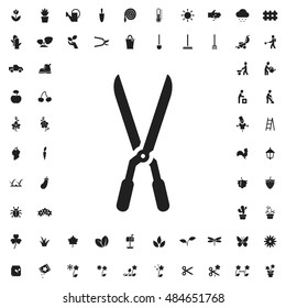 Garden scissors icon illustration isolated vector sign symbol