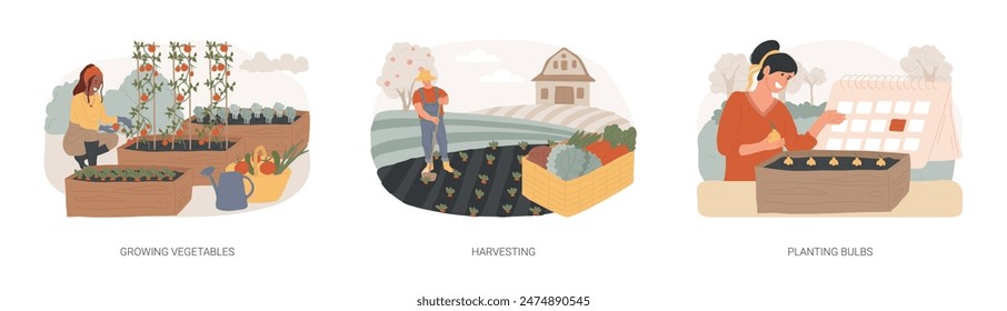 Garden seasonal works isolated concept vector illustration set. Growing vegetables and harvesting calendar, planting bulbs, organic food, salad seeds, container garden, flower bed vector concept.