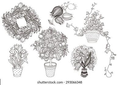 Garden set with 6 plants in flowerpot: tangerine, tulip, campanula, bluebell, narcissus and ivy. Design template in vintage style like engrave. Garden in vintage style. 3 in 1