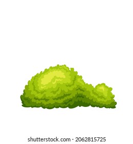 Garden shrub. Green seasonal bush vector illustration.