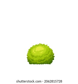 Garden shrub. Green seasonal bush vector illustration.