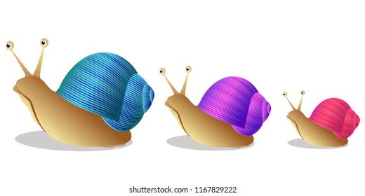 Garden snail graphic vector