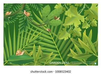 Garden snail with many green leaves on a green background.illustration