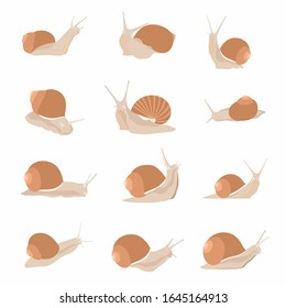 Garden snail vector cartoon set isolated on a white background. flat vector illustration