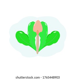 El jardín se extiende sobre un fondo de hojas verdes. En un fondo blanco aislado.