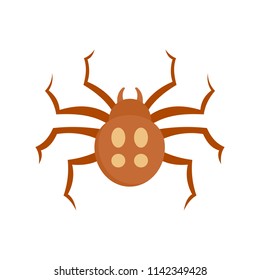 Garden spider icon. Flat illustration of garden spider vector icon for web isolated on white