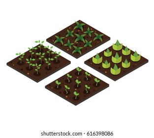 Garden in spring. Isometric icon set. Vector illustration.