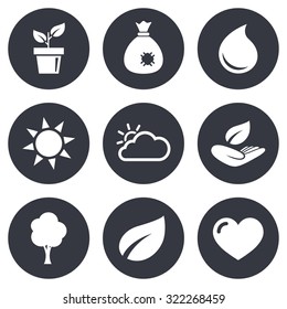 Garden sprout, leaf icons. Nature and weather signs. Sun, cloud and tree symbols. Gray flat circle buttons. Vector