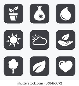 Garden sprout, leaf icons. Nature and weather signs. Sun, cloud and tree symbols. Flat square buttons with rounded corners.