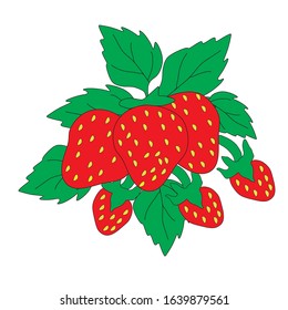 Garden strawberry fruit or strawberries flat color vector icon for food apps and websites