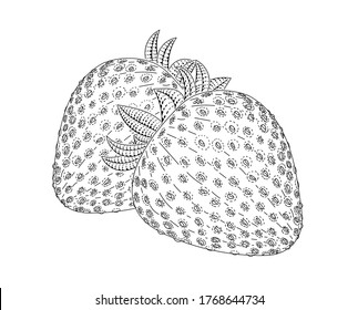 Garden strawberry fruit vector engraved style illustration for posters, decoration and print. Hand drawn etching sketch of passion fruit in monochrome. Detailed vegetarian food linocut drawing. 