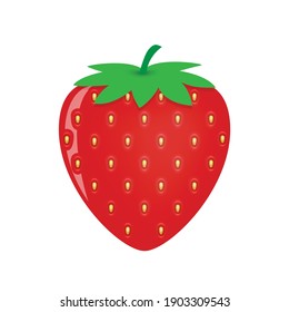 Garden strawberry icon isolated on white. Vector illustration