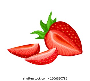 Garden Strawberry with Mature Red Fruit Section Vector Illustration