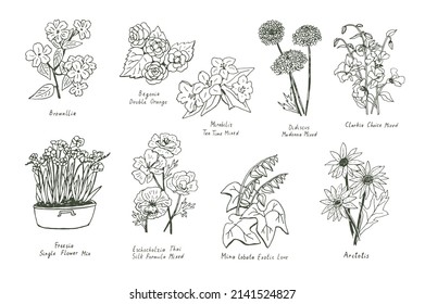 Garden summer flowers illustrations vector line set
