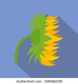Garden sunflower icon. Flat illustration of garden sunflower vector icon for web