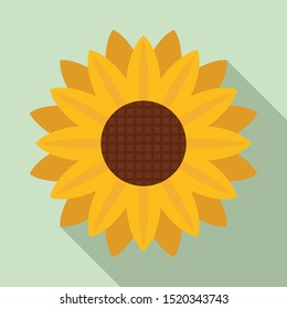 Garden sunflower icon. Flat illustration of garden sunflower vector icon for web design