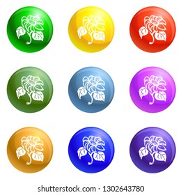 Garden sunflower icons vector 9 color set isolated on white background for any web design 