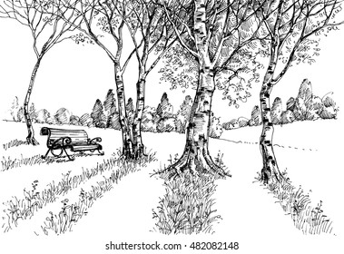 Garden In The Sunlight Drawing. A Bench In The Park