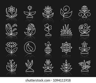 Garden thin line icons set. Outline web sign kit of flower. Plant linear icon collection includes tulip, clover, lily of the valley. Simple garden symbol with reflection. Vector Illustration