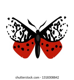 Garden tiger month isolated vector. Butterfly, entomology, Lepidoptera. Insects concept. Vector can be used for topics like nature, biology, fauna