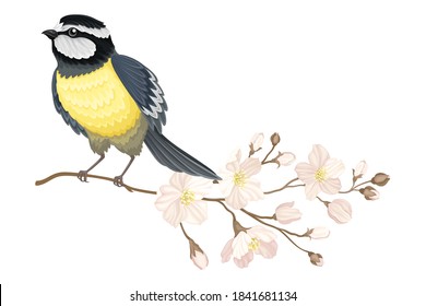 Garden Tit Perching on Branch with Apple Blossom Vector Illustration